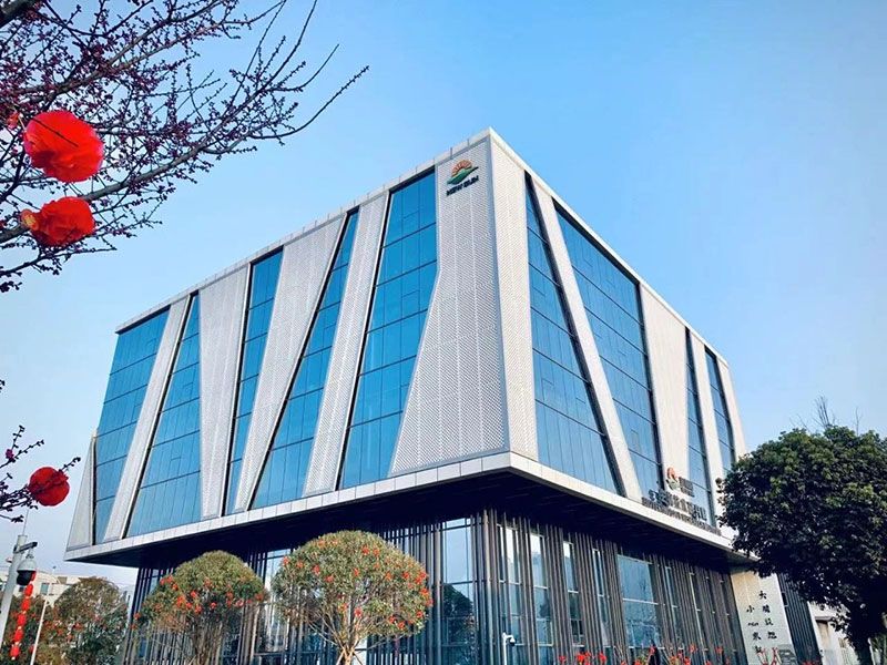 新突破！新朝陽新型脫葉劑獲巴西專利授權(quán)