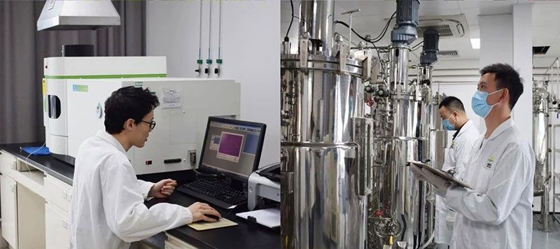 打造新朝陽生物科技“五張名片”，服務(wù)農(nóng)業(yè)高質(zhì)量發(fā)展！