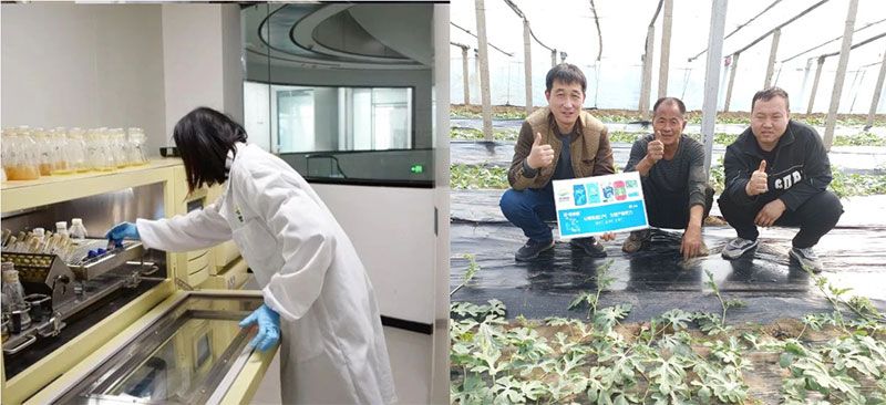 打造新朝陽生物科技“五張名片”，服務(wù)農(nóng)業(yè)高質(zhì)量發(fā)展！