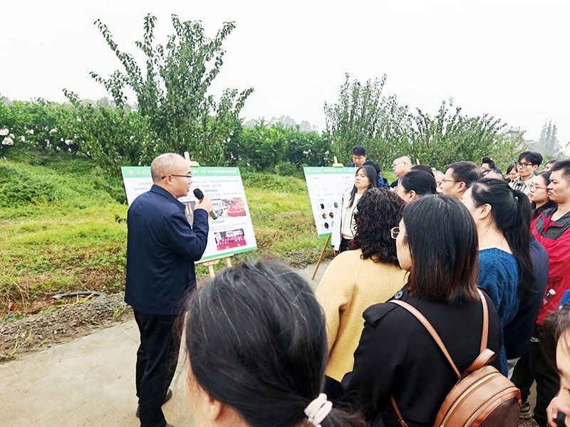 新朝陽生物技術(shù)助力綠色防控，推動柑橘產(chǎn)業(yè)綠色高質(zhì)量發(fā)展